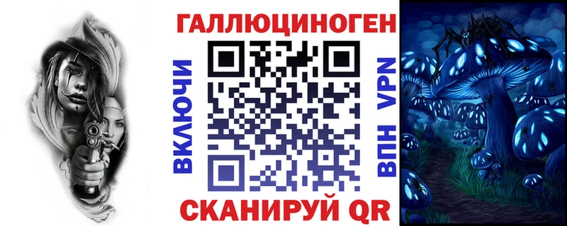 Псилоцибиновые грибы Psilocybine cubensis  Чкаловск 